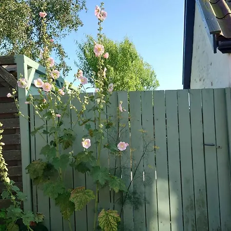 Villa Hyggeligt Fiskerhus Taet Pa Havet Ronne